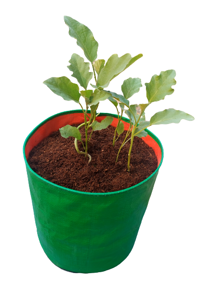 10x10 (HDPE 200 gsm) Grow bag - Image 2