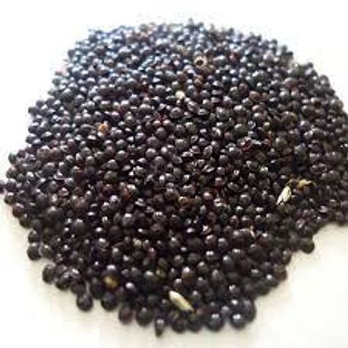 Bhendi / vendaikkai /Okra seeds - Image 2