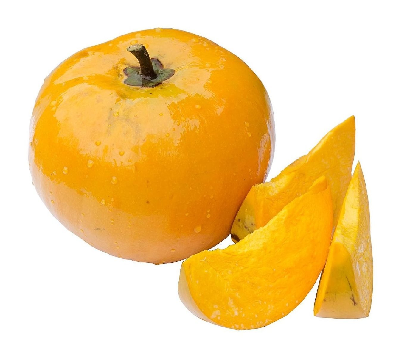 Egg fruit (Canistel) Elanthalir Nursery Garden