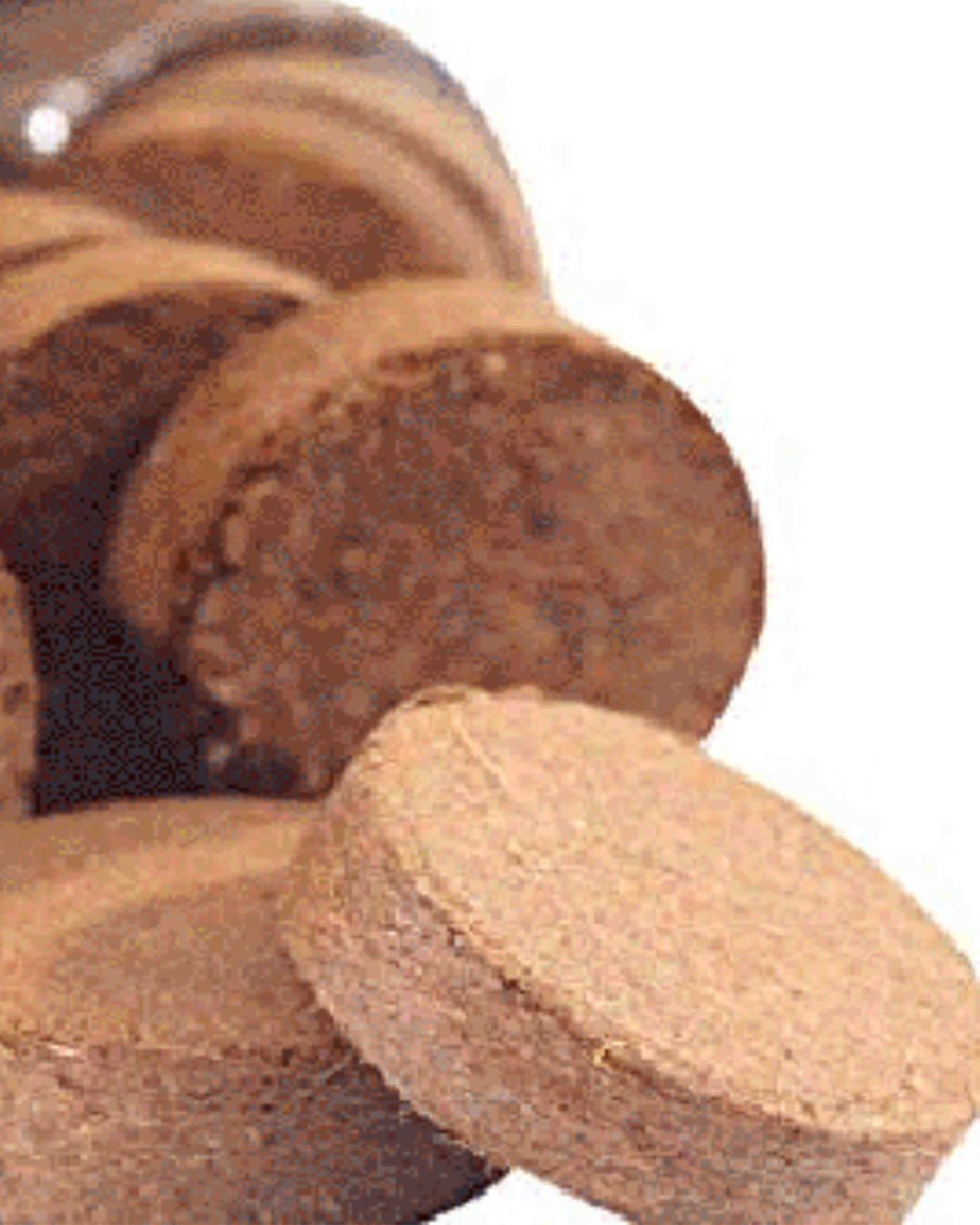 Cocopeat Coins - Set of 5