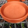 Matte Finish 10" Plate Set of 10 - Terracotta